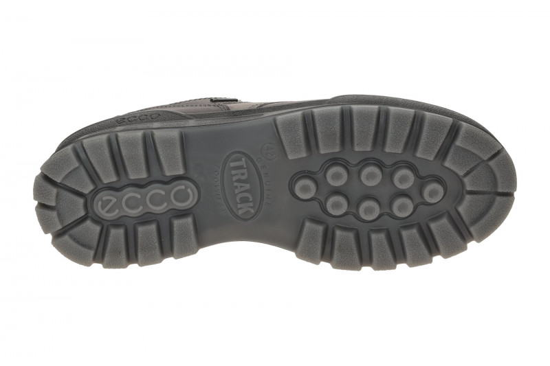 Ecco Track Schuhe grau steel GORE-TEX