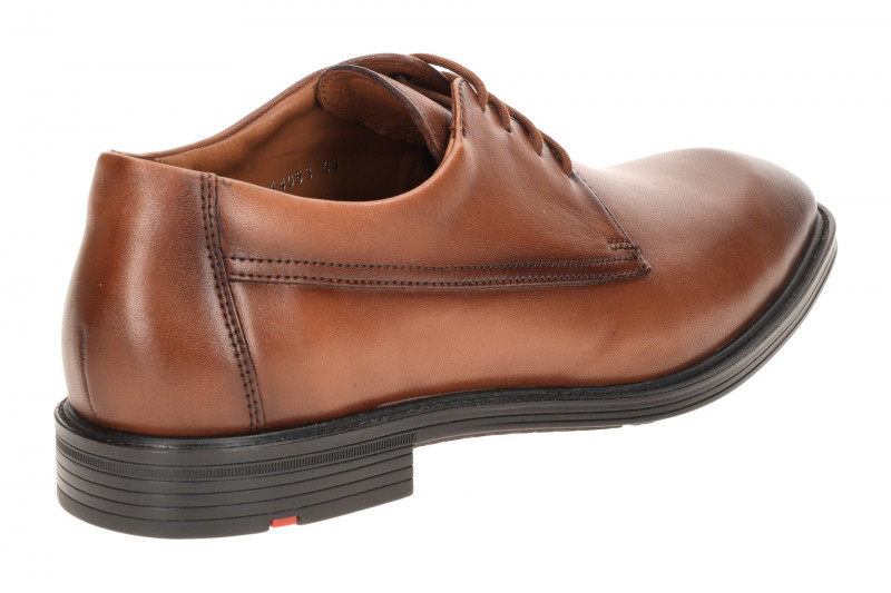 Lloyd X-Motion Schuhe braun Extra-Weit 25-533-03