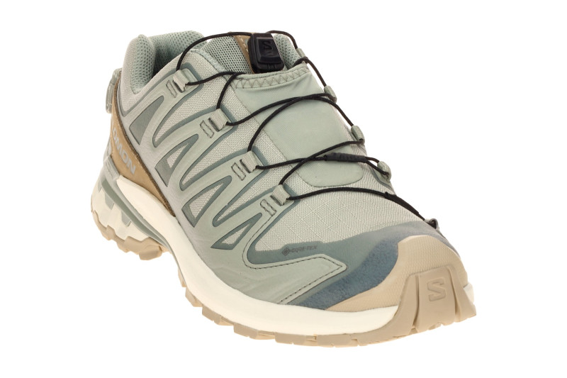 Salomon XA Pro 3D V9 Lifelong Schuhe grau blau Damen GORE-TEX 492973
