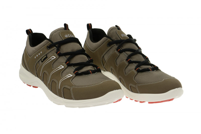 Ecco TerraCruise GTX Schuhe grau 84104459927