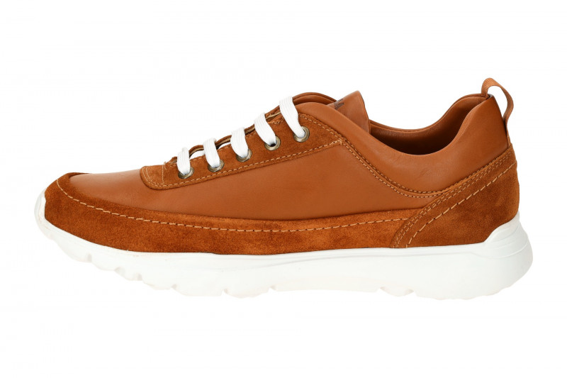 Panama Jack Jensen C3 Schuhe Sneakers braun weiß