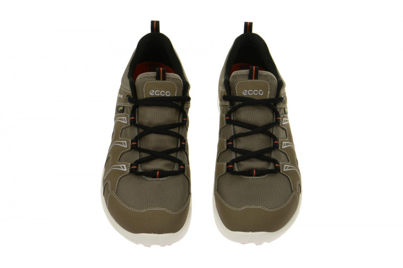 Ecco TerraCruise GTX Schuhe grau 84104459927