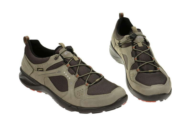 Ecco TerraCruise Schuhe grau GORE-TEX 84106458716