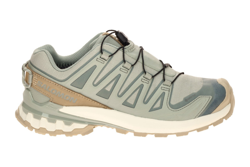 Salomon XA Pro 3D V9 Lifelong Schuhe grau blau Damen GORE-TEX 492973