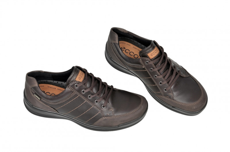 Ecco Remote Schuhe coffee dunkelbraun Gore-Tex 52100451869