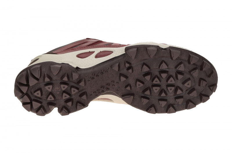 Ecco Biom C-Trail Schuhe rot ruby Damen Trekking GORE-TEX 803463