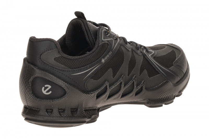 Ecco Biom AEX Schuhe schwarz Damen Sportschuhe GORE-TEX 802883