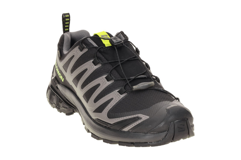 Salomon XA Pro 3D V9 Schuhe schwarz grau GORE-TEX 479873