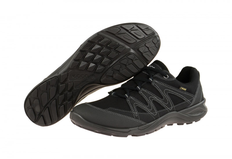 Ecco TerraCruise Schuhe schwarz Gore-Tex