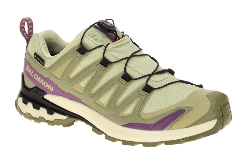 Salomon XA Pro 3D V9 Schuhe Damen grün lila GORE-TEX 491458