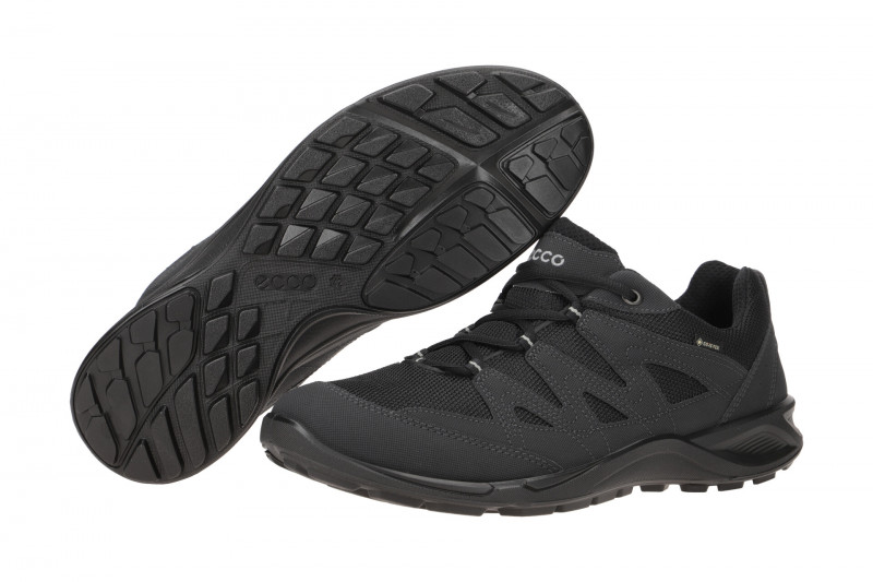 Ecco TerraCruise LT Herren Schuhe schwarz GORE-TEX