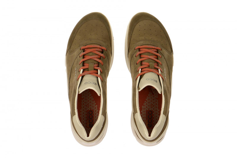 Ecco Biom Evo Trainer braun birch 80014459949