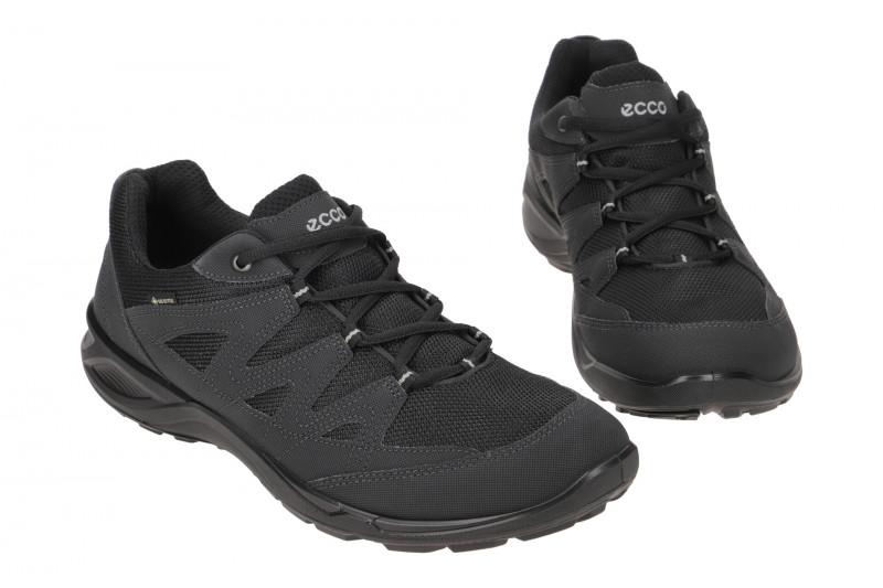 Ecco TerraCruise LT Herren Schuhe schwarz GORE-TEX