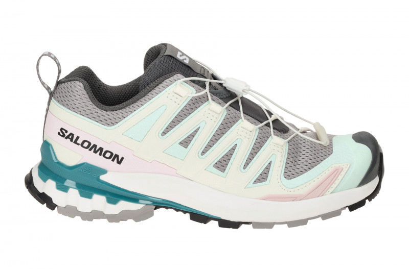 Salomon XA Pro 3D V9 Schuhe Damen grau kombi 471189