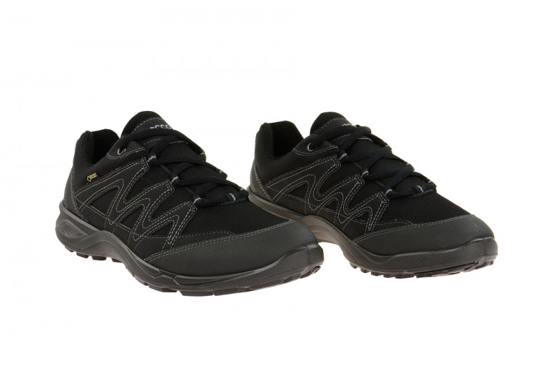 Ecco TerraCruise Schuhe schwarz Gore-Tex