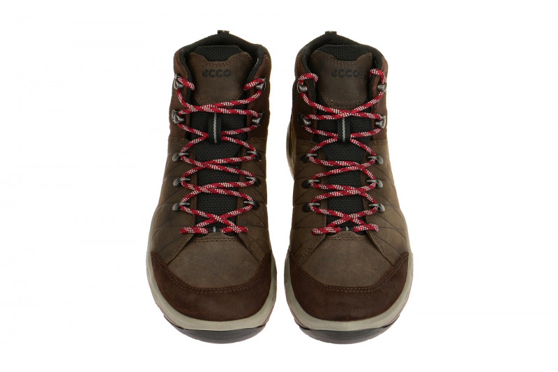 ecco Ulterra GTX Stiefel braun Gore-Tex