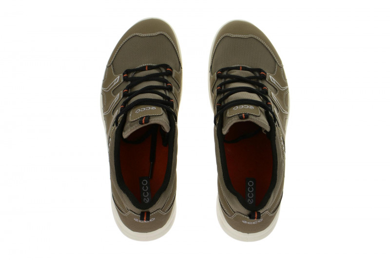 Ecco TerraCruise GTX Schuhe grau 84104459927