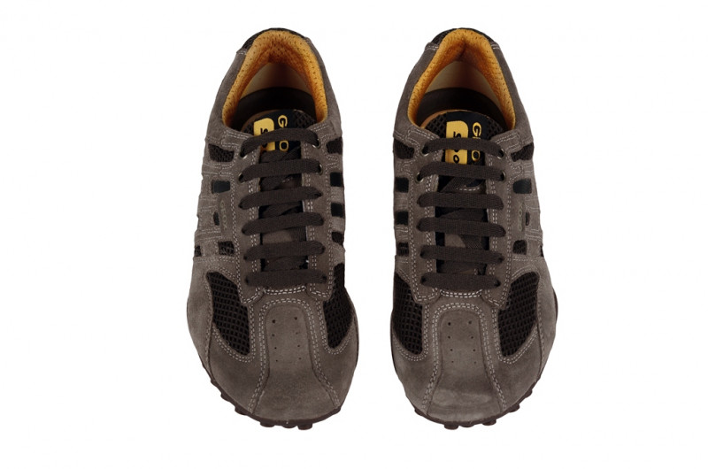 Geox Snake M Schuhe in taupe grau U1107M