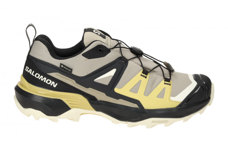 Salomon X Ultra 360 GTX Schuhe grau schwarz GORE-TEX 474536
