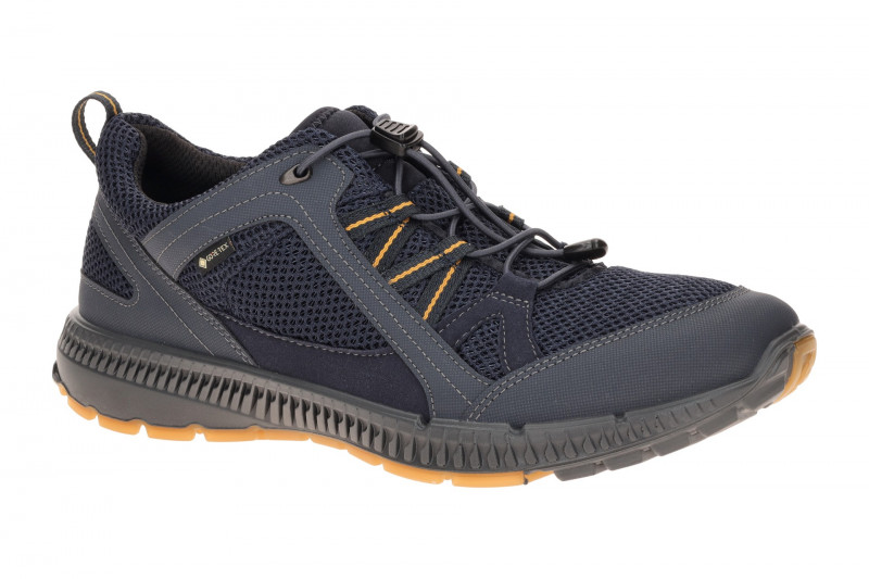 Ecco TerraCruise Schuhe blau Herren GORE-TEX