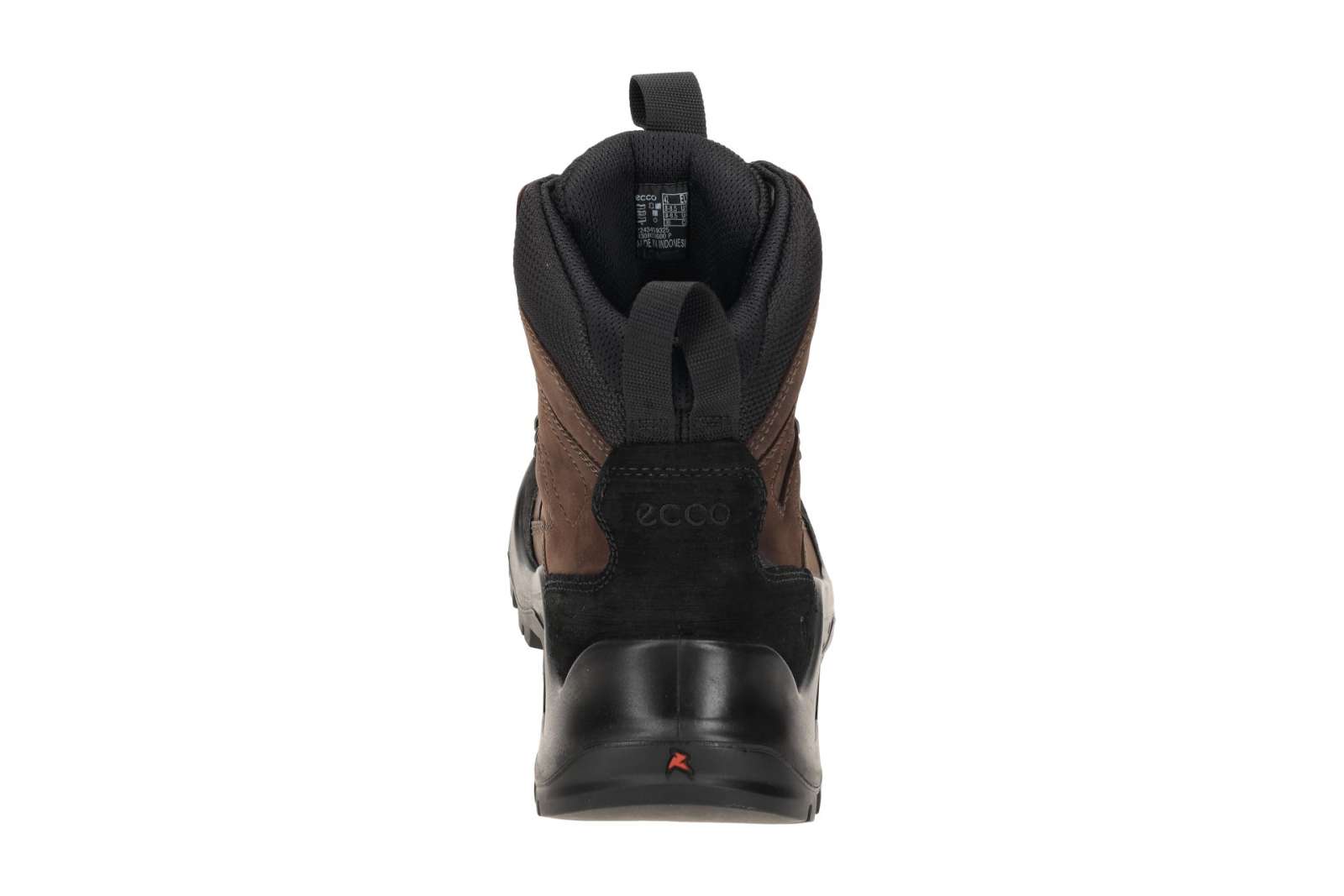 Newton Ridge™ Plus wasserdichter Amped Wanderstiefel für Frauen | Columbia Sportswear
