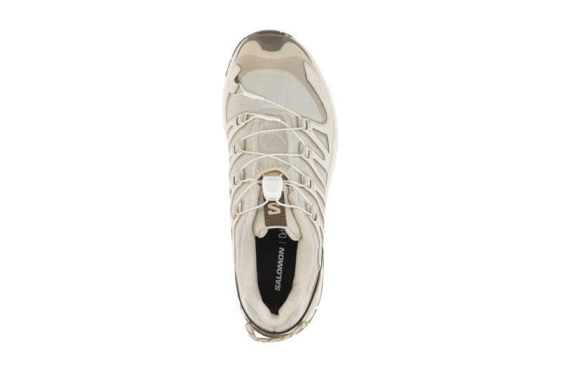 Salomon XA Pro 3D V9 Lifelong Schuhe beige Damen 491539