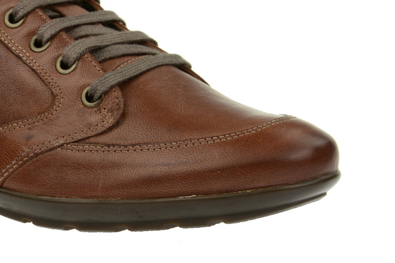 Geox Symbol Schuhe braun whisky U32A5A