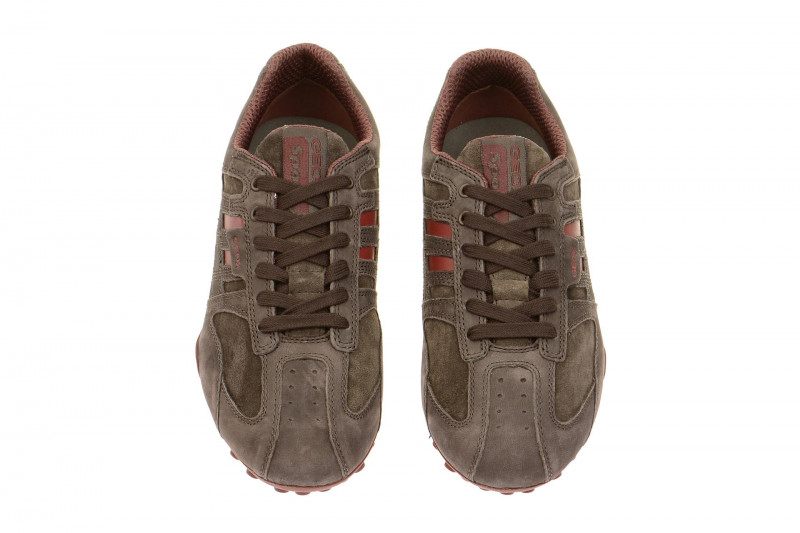 Geox Snake Schuhe braun matt - U4207K