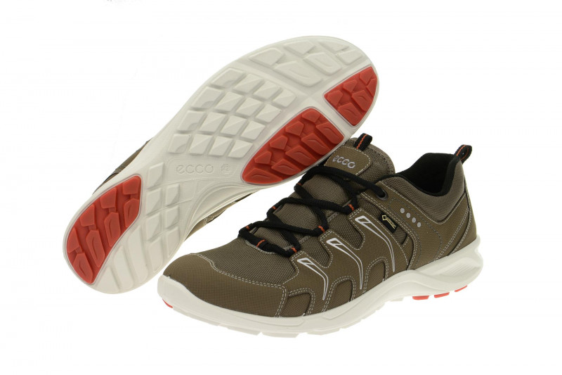 Ecco TerraCruise GTX Schuhe grau 84104459927