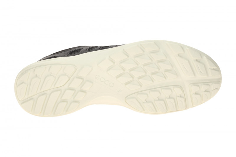Ecco TerraCruise LT Schuhe schwarz 825803
