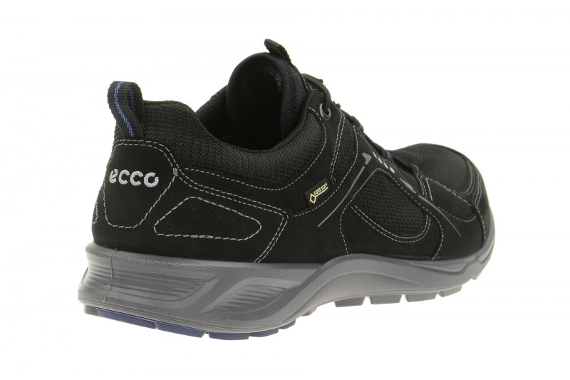 Ecco TerraCruise schwarz 84106458143