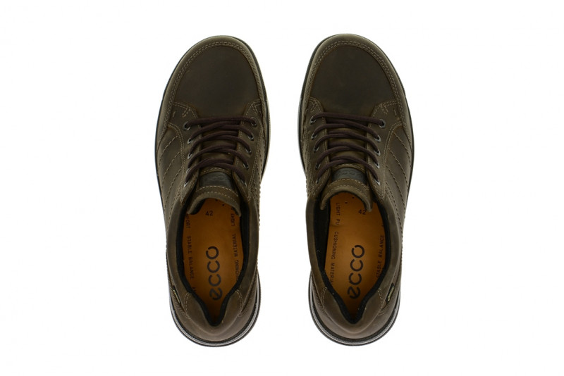 Ecco Remote Schuhe braun - Gore-Tex