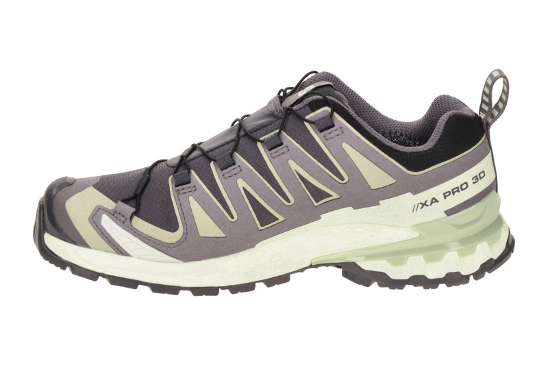 Salomon XA Pro 3D V9 Schuhe Damen grau beige GORE-TEX 477447