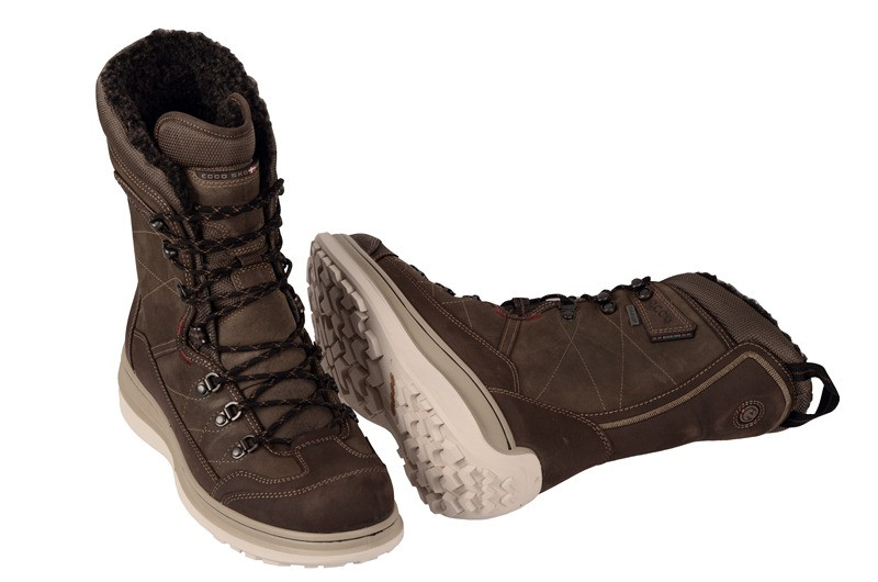 Ecco Roxton Stiefel braun Gore-Tex 532044