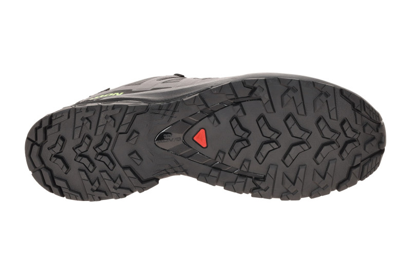 Salomon XA Pro 3D V9 Schuhe schwarz grau GORE-TEX 479873