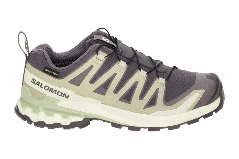 Salomon XA Pro 3D V9 Schuhe Damen grau beige GORE-TEX 477447