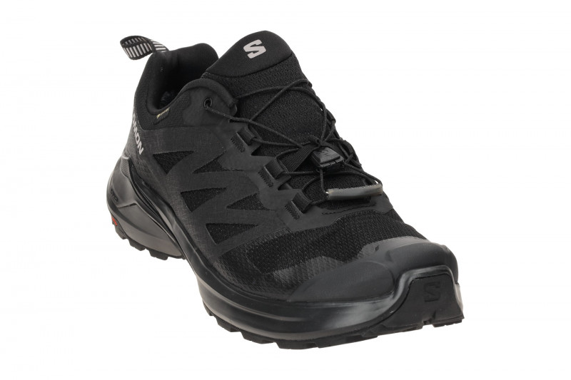 Salomon X Adventure GTX Schuhe schwarz GORE-TEX 473218