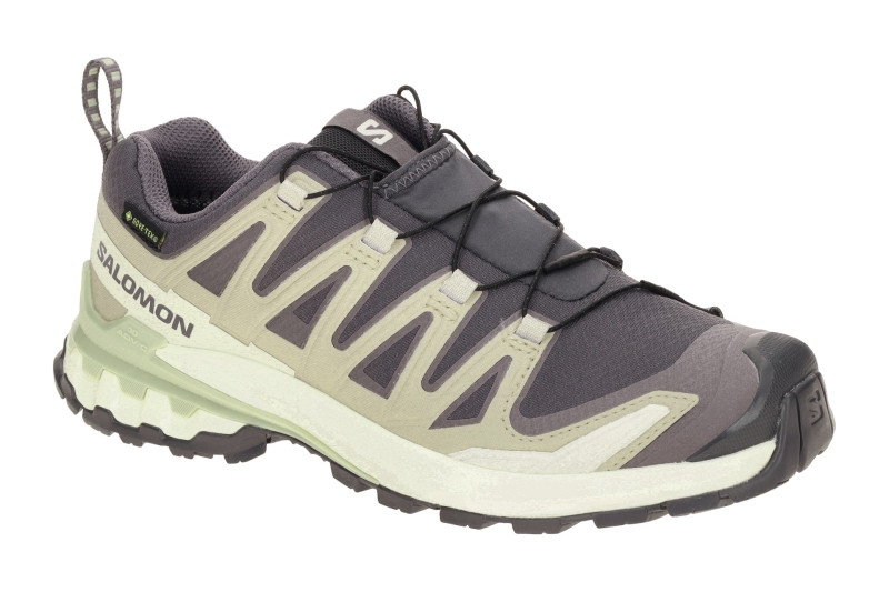 Salomon XA Pro 3D V9 Schuhe Damen grau beige GORE-TEX 477447