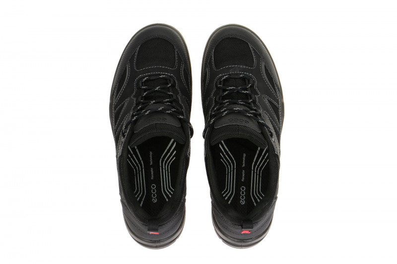 Ecco Xpedition Schuhe schwarz Gore-Tex