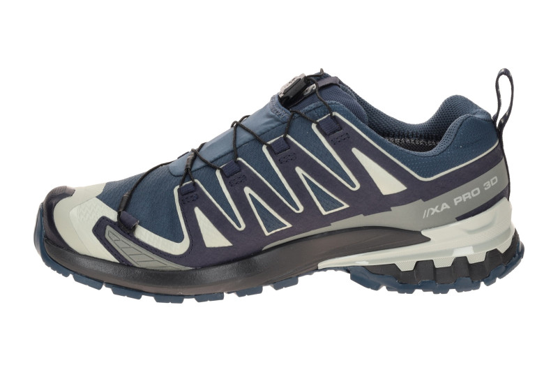 Salomon XA Pro 3D V9 Schuhe blau grau GORE-TEX 491992