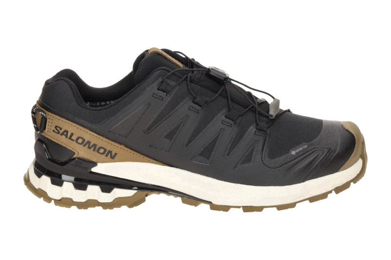 Salomon XA Pro 3D V9 Lifelong Schuhe schwarz braun GORE-TEX 479638