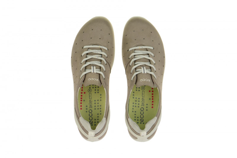 Ecco Biom Lite Schuhe grau 80200358664