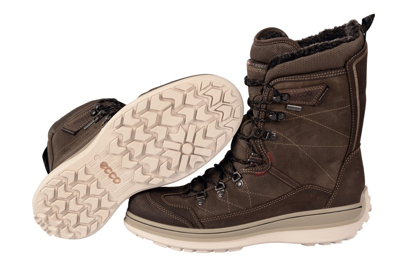 Ecco Roxton Stiefel braun Gore-Tex 532044