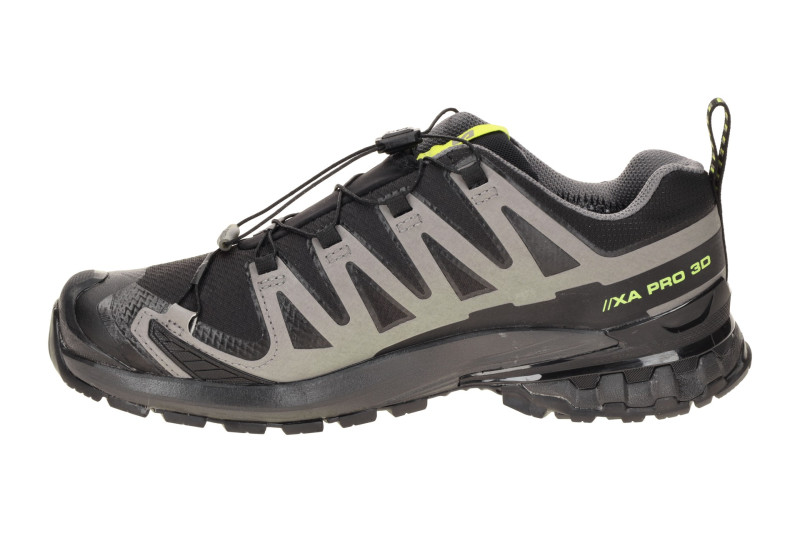 Salomon XA Pro 3D V9 Schuhe schwarz grau GORE-TEX 479873