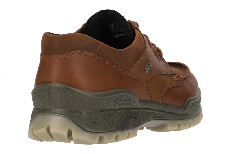 Ecco Track 25 Schuhe braun GORE-TEX
