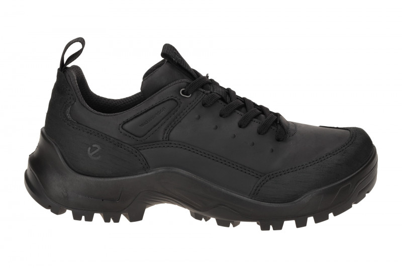 Ecco Offroad Herren Schuhe schwarz Waterproof 822354
