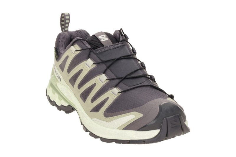 Salomon XA Pro 3D V9 Schuhe Damen grau beige GORE-TEX 477447