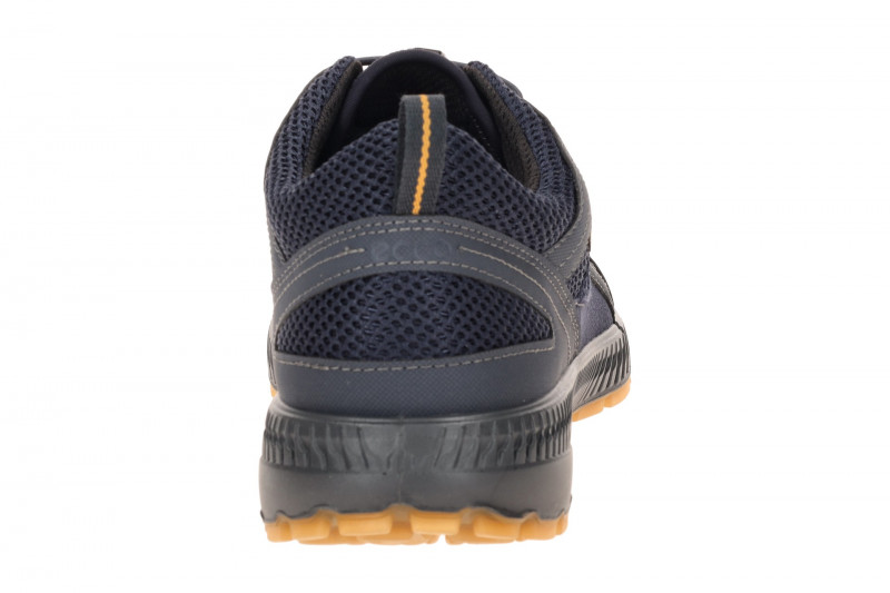 Ecco TerraCruise Schuhe blau Herren GORE-TEX