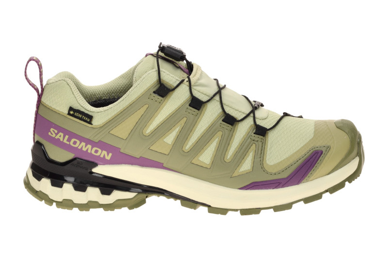Salomon XA Pro 3D V9 Schuhe Damen grün lila GORE-TEX 491458