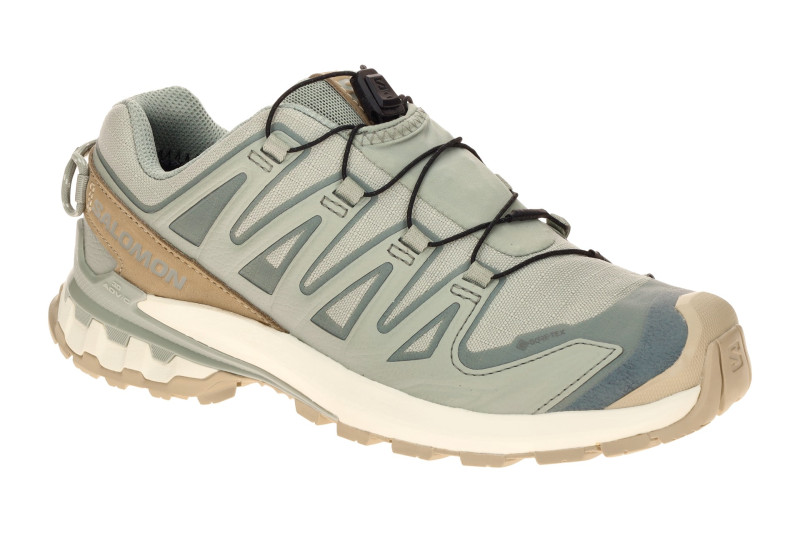 Salomon XA Pro 3D V9 Lifelong Schuhe grau blau Damen GORE-TEX 492973